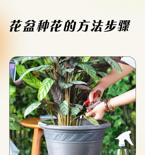 《我的世界花盘种花技巧大揭秘》（打造绚丽花海）