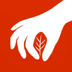 药采采app安卓版下载