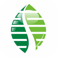 雄安行下载安装安卓版本